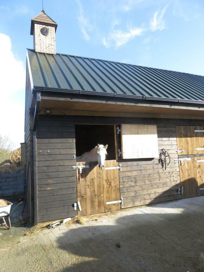 Bunkhouse - Letterfrack Farm Villa Bagian luar foto